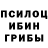 Галлюциногенные грибы Psilocybe Drake Rzepczynski
