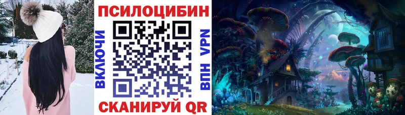 купить Томск блэк спрут вход Галлюциногенные грибы MAGIC MUSHROOMS